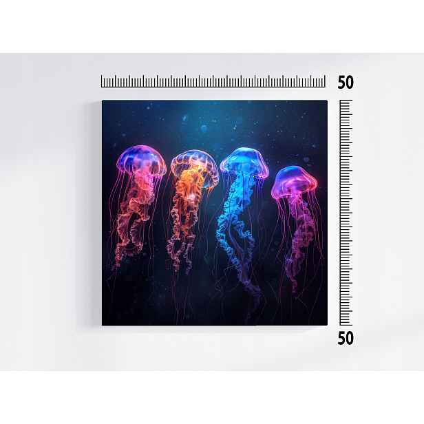 Obraz Na Plátně Plátno Podvodní Fauna Příroda Barevné Medúzy Neon 50x50