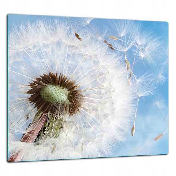 Skleněná Ochranná Deska Panel Lepidlo 65x60 Květina
