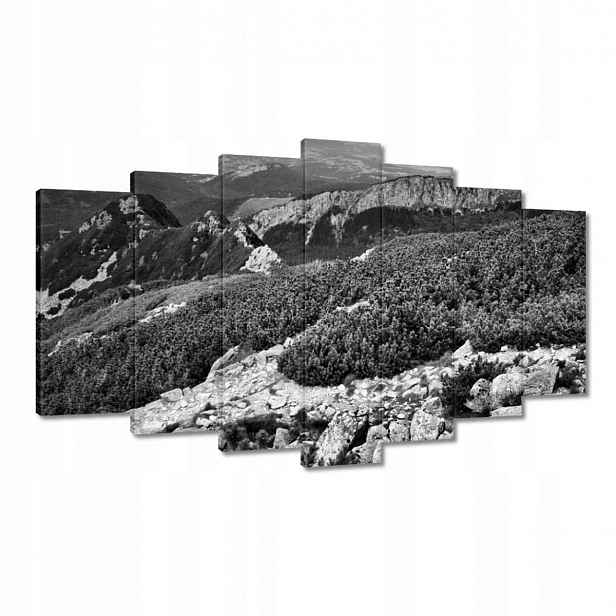 Obrazy 140x80 Tatry Polské hory Pohled