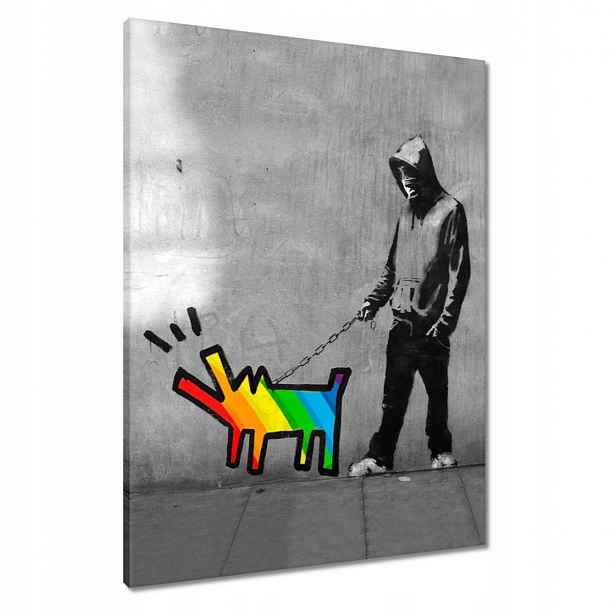Obrazy 60x80 Banksy Duhový pejsek