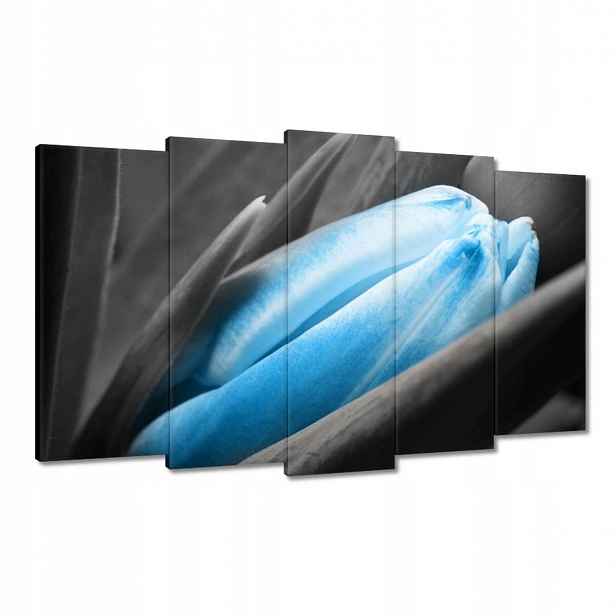 Obrazy 100x60 Modré okvětní lístky Tulipán