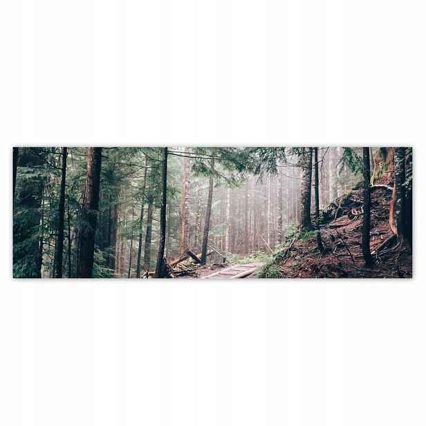 Plakáty 200x66 Lesní cesta