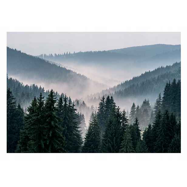 Fototapeta Hory Krajina Příroda Les V Mlze 3D Pohled Na Stromy 368x254