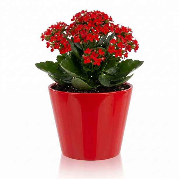 Květináč keramická krytka červená kulatá 27 cm, V 22 cm, 9 l, lesk