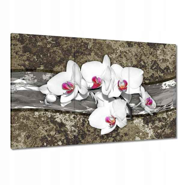 Obrazy 120x80 Bílá Orchidej Mramorové pozadí
