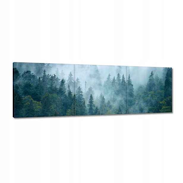 Obrazy 120x40 Les v mlze Cestování