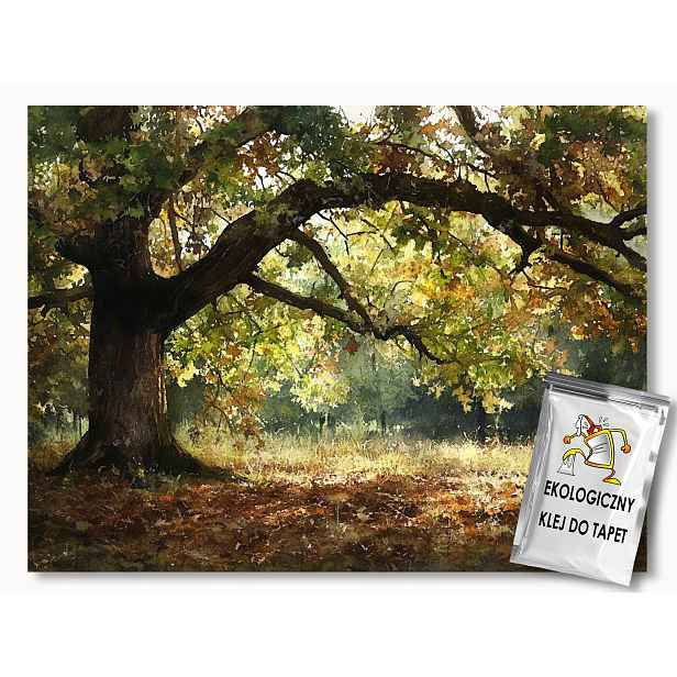 Fototapeta Netkaná Akvarel Příroda Park Strom Dub Podzim 368x254 130g