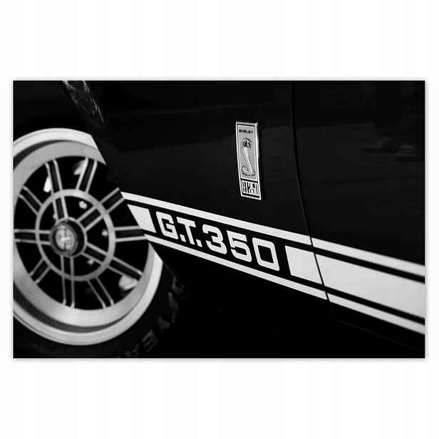 Plakáty 185x125 Ford G.t. 350 Shelby