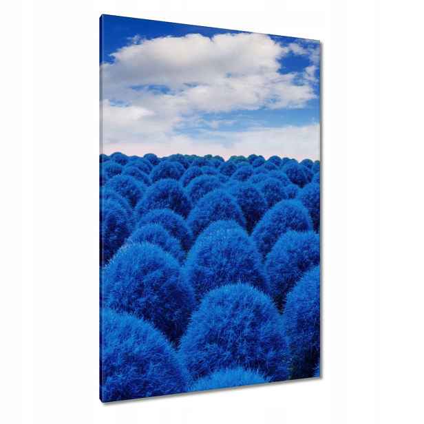 Obrazy 80x120 W v klasické modré barvě