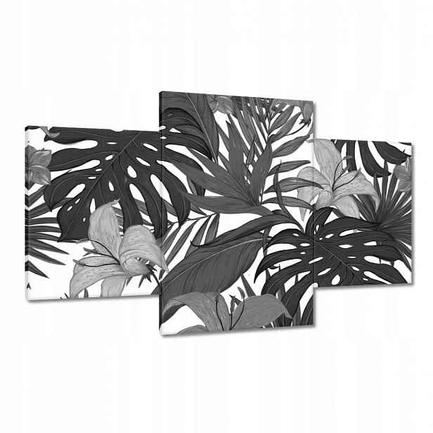 Obrazy 100x60 Černobílá monstera