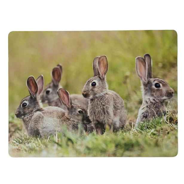 4ks pevné korkové prostírání králičí rodina v trávě - 30*40*0,4cm Mars & More