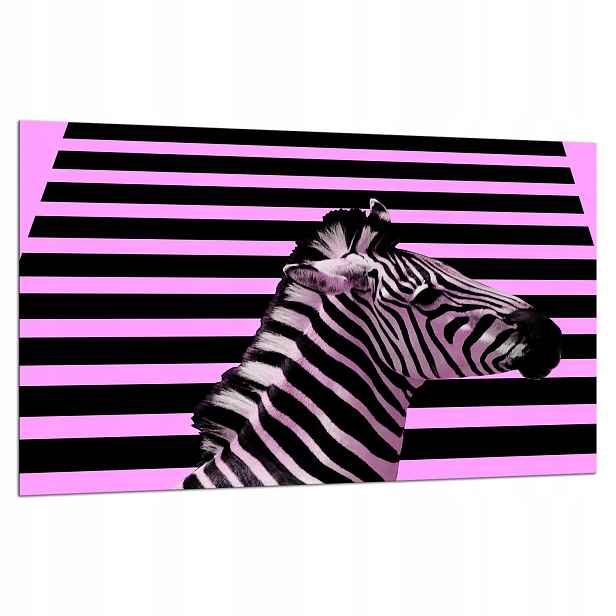 7v1 Skleněná Ochranná Deska Na Sporák 80x52 Zebra