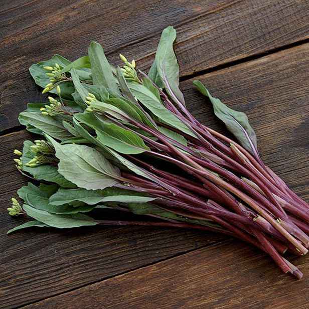 Culina Botanica Zelí čínské Hon Tsai Tai