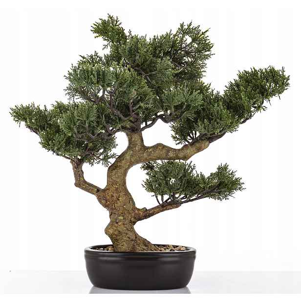 Zelená dekorativní rostlina v černém květináči umělý květ stromek bonsai