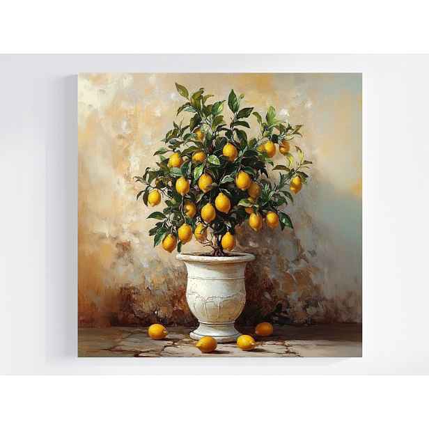 Obraz Na Plátně Canvas Dekorace Příroda Stromek Citron Ovoce Retro 50x50