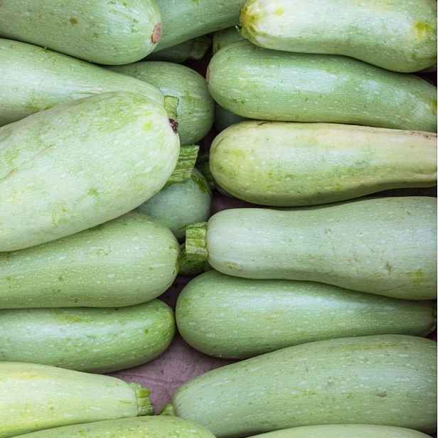 Culina Botanica Tykev Květa