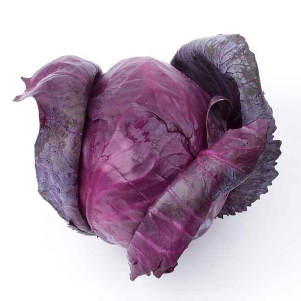 Culina Botanica Zelí Hlávkové Mars