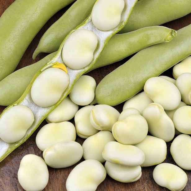 Culina Botanica Bob Zahradní Superaguandulce