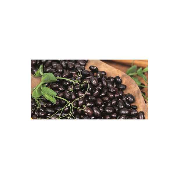 Culina Botanica Fazole keříčkové Hynek 