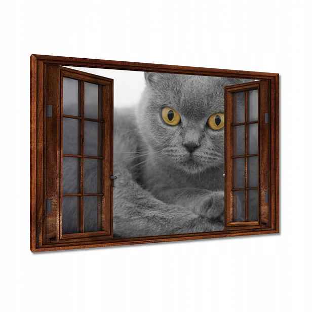 Obrazy 120x80 Šedá britská kočka
