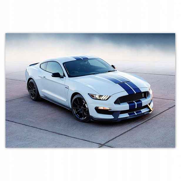 Plakáty 200x135 Ford Mustang Shelby