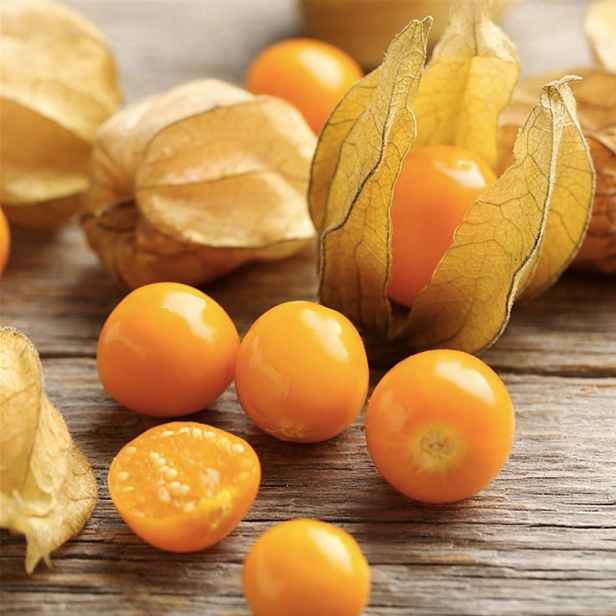 Culina Botanica Mochyně peruánská