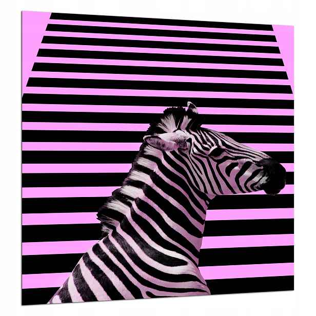 Skleněná Deska Ochranná 60x65 Zebra