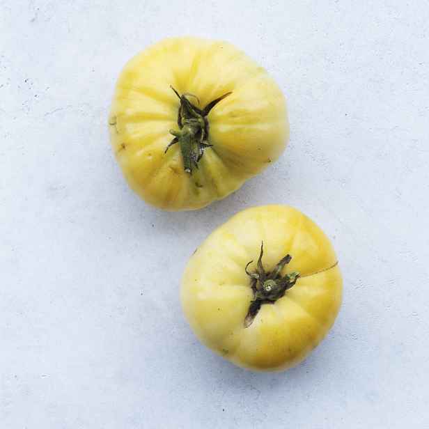 Culina Botanica Rajče Hazel Gold