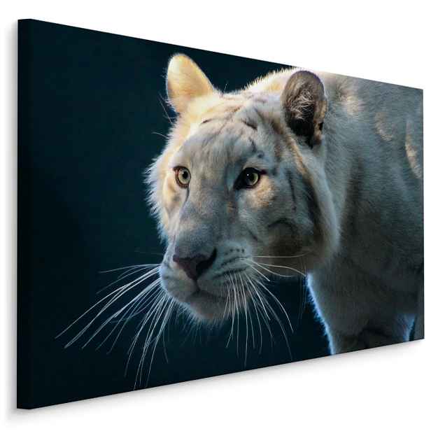 MyBestHome BOX Plátno Krásný Bílý Tygr Varianta: 40x30