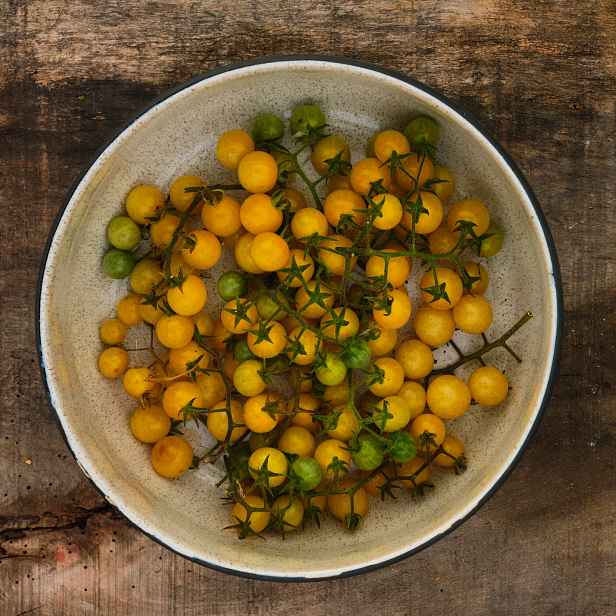 Culina Botanica Rajče divoké bílé