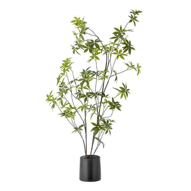Umělá rostlina (výška 160 cm) Palmatum – Bloomingville