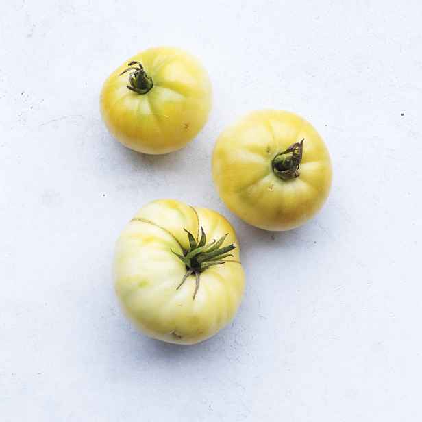 Culina Botanica Rajče Akrjoška
