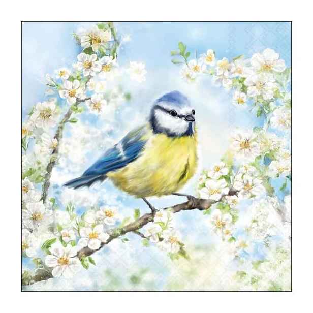 Papírové ubrousky se sýkorkou na rozkvetlé větvi Blossom - 33*33 cm (20ks) Ostatní