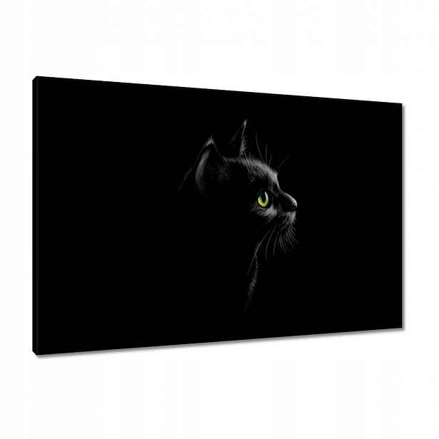 Obrazy 90x60 Černá kočka kočička kočka