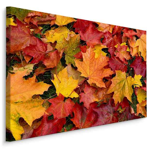 MyBestHome BOX Plátno Javorové Listy V Podzimních Barvách Varianta: 100x70