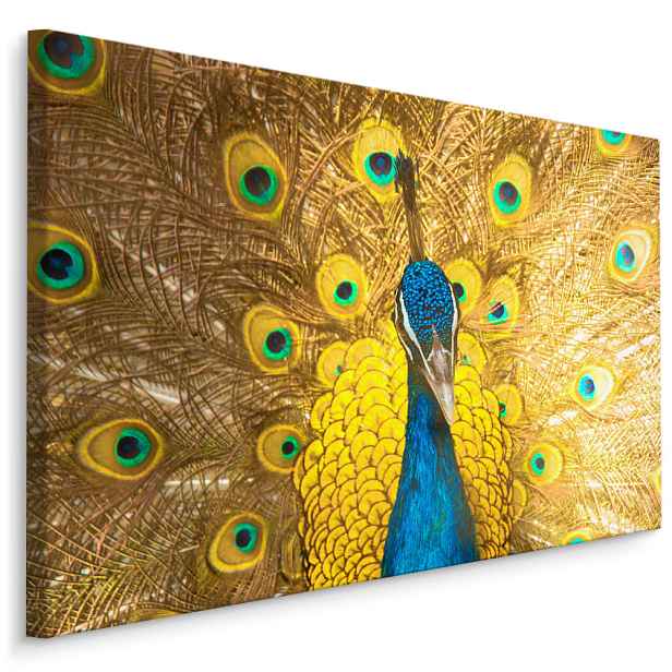 MyBestHome BOX Plátno Krásný Barevný Páv Varianta: 90x60