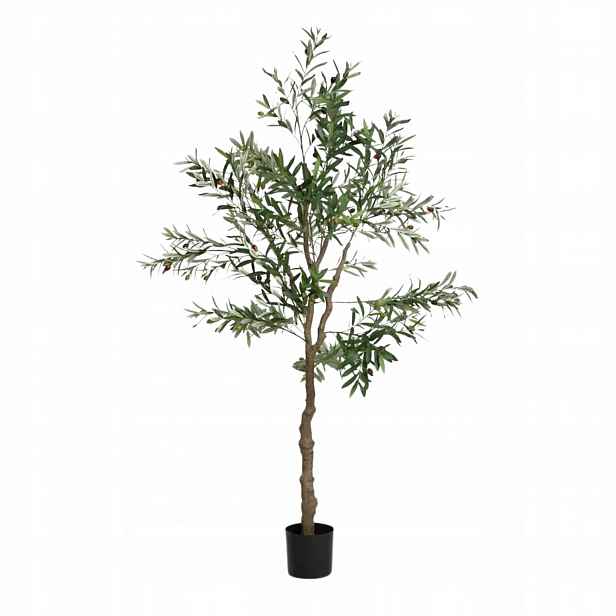 Umělý olivovník 180 cm Greenora strom velký olivovník rostlina Homla