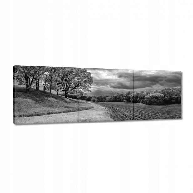 Obrazy 150x50 Černobílé pole