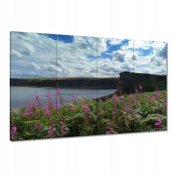 Obrazy 120x80 Fialové květy