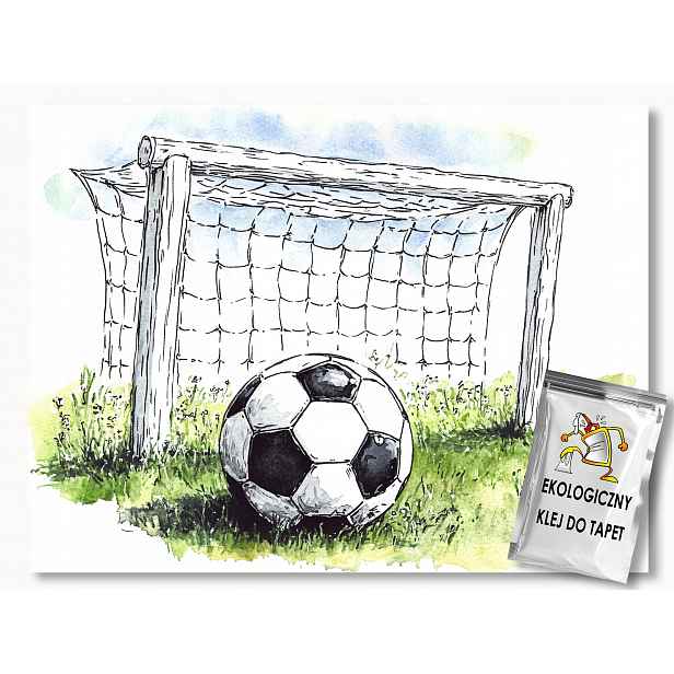 Fototapeta Flizelina Sport Fotbal Hřiště Branka 312x219 130g