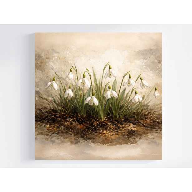 Obraz Na Plátně Canvas Příroda Jaro Zahrada Louka Květy Sněženky 50x50