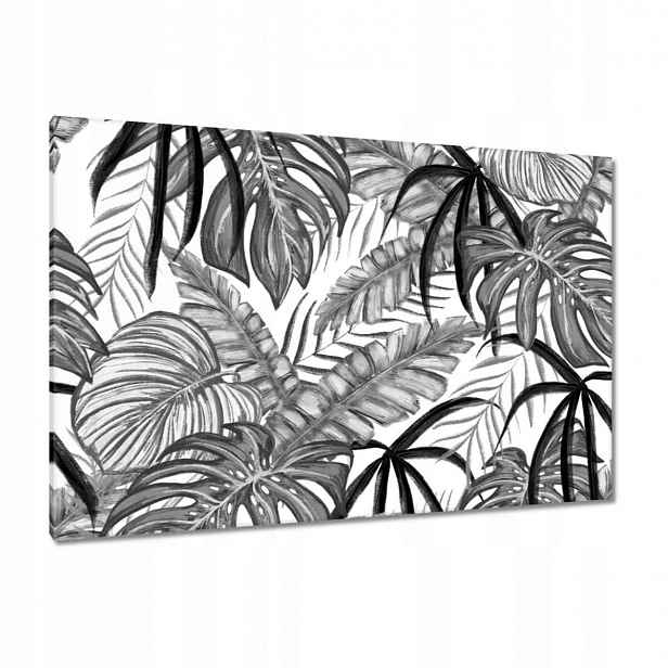 Obrazy 120x80 Monstera Zelený list