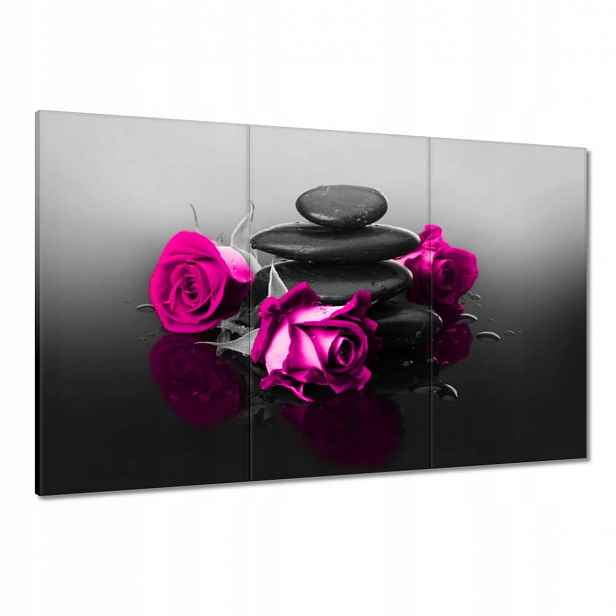 Obrazy 120x80 Růžová růže Spa Wellness