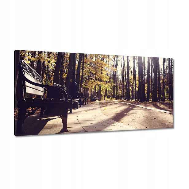 Obrazy 115x55 Městský park Krajina