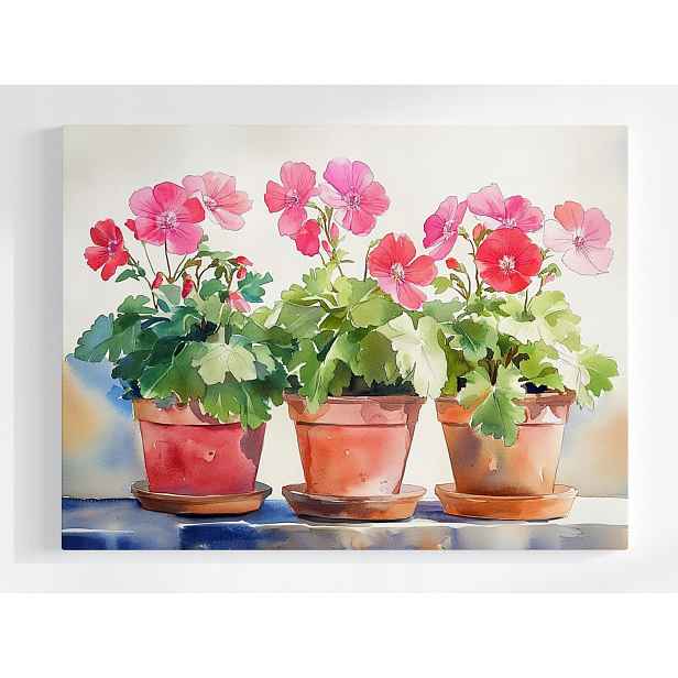 Plakát Dekorace Květináče Květiny Pelargónie 100x75