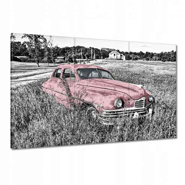 Obrazy 120x80 Růžová babička Historická