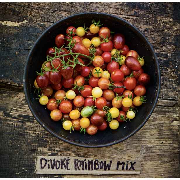 Culina Botanica Rajčata divoká směs - Rainbow