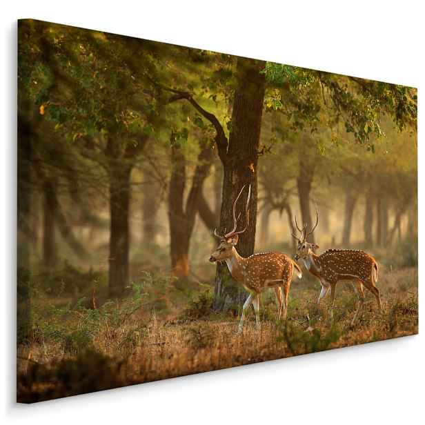 MyBestHome BOX Plátno Skvrnitý Mladý Jelen Varianta: 40x30