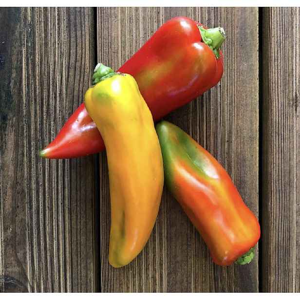Culina Botanica Paprika Cornetto