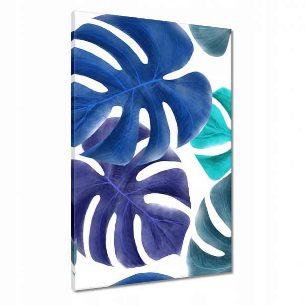 Obrazy 60x90 Monstera Listy Modrá